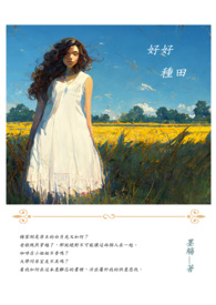 宦海征途攻略